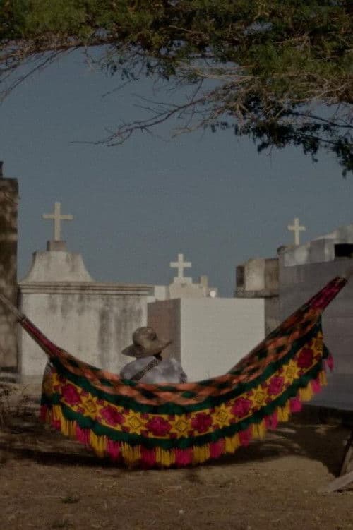 Los sueños viajan con el viento