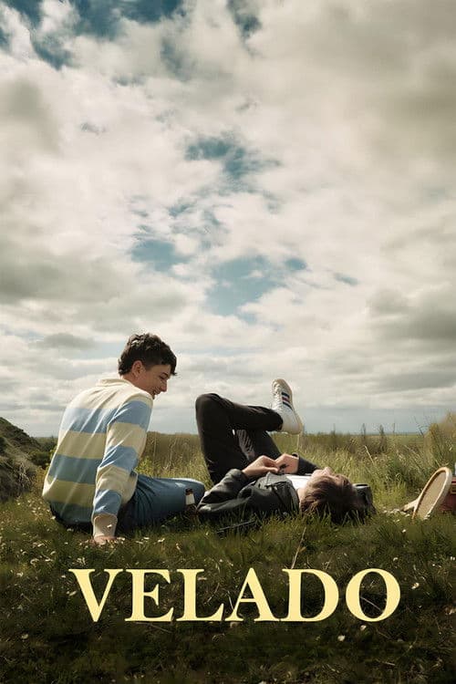 Velado