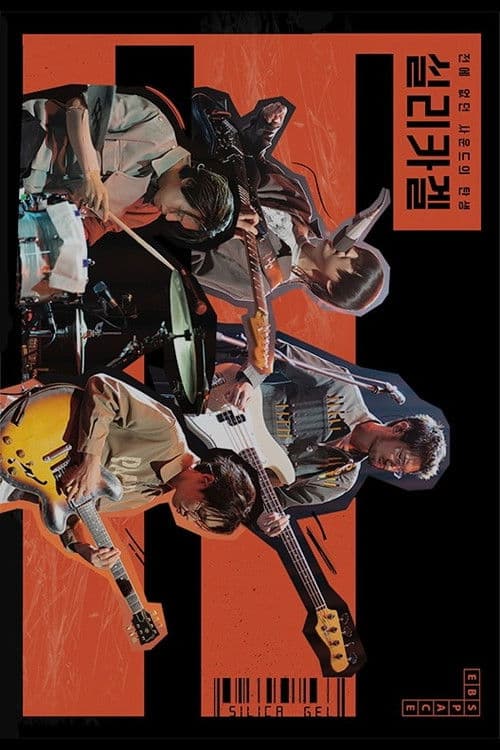 실리카겔: 전에 없던 사운드의 탄생