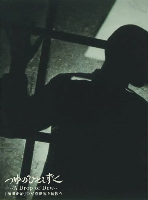つゆのひとしずく～植田正治の写真世界を彷徨う～
