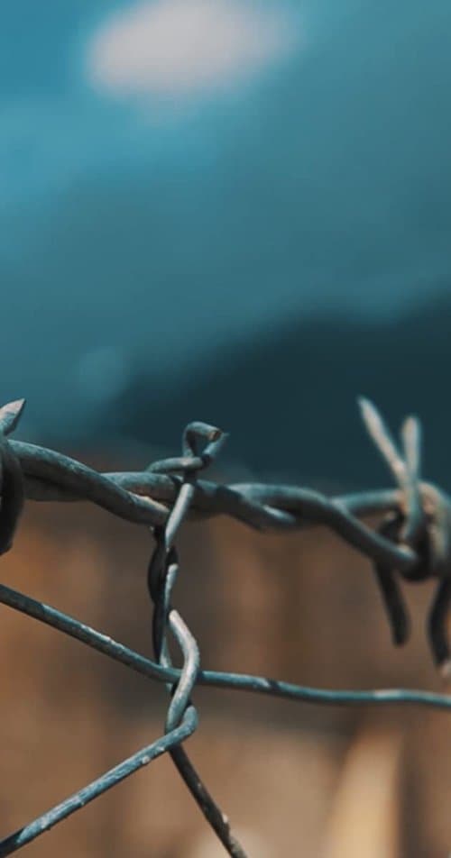 Femijet E Diktatures