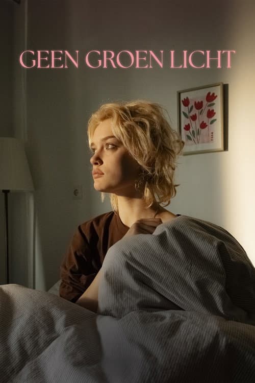 Geen groen licht