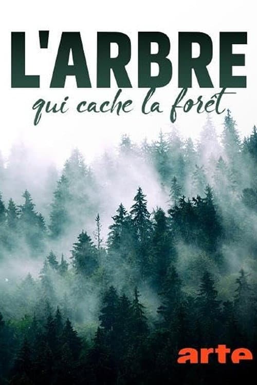 L'arbre qui cache la forêt