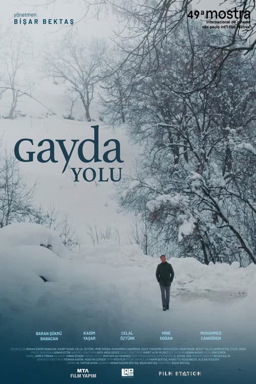 Gayda Yolu