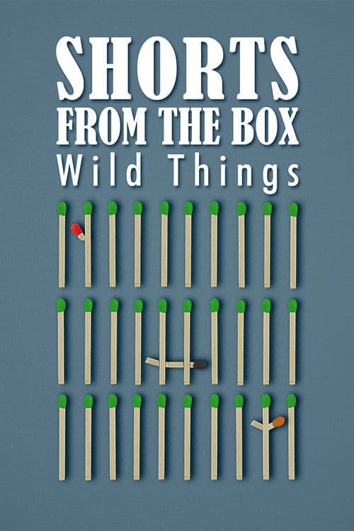 SHORTS FROM THE BOX / Wild Things