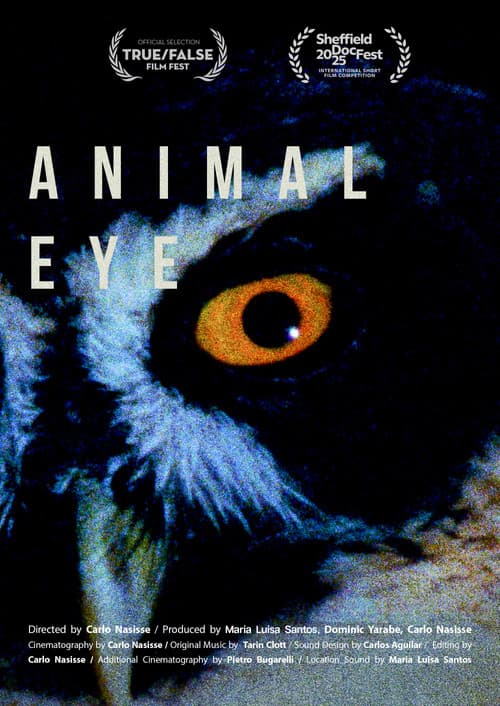 Animal Eye