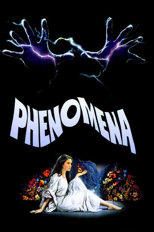 Fenomene