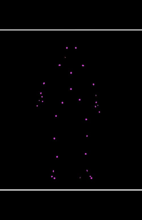 Network Reconstruction Of Nematode Symbionts