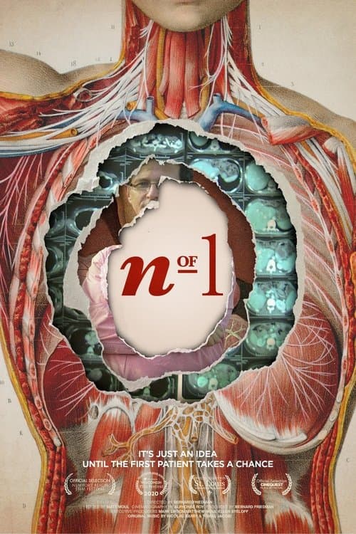 N of 1