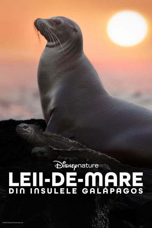 Leii-de-mare din Insulele Galápagos