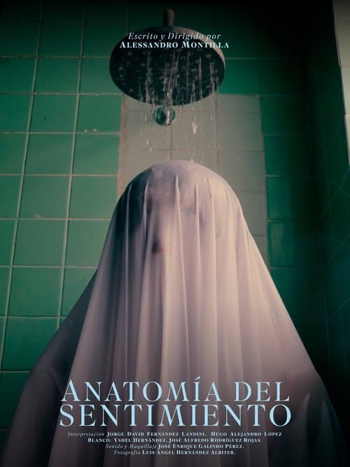 Anatomía del sentimiento