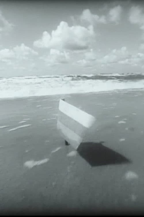 Ar jau įnešti antį?