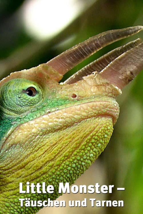 3D Kleine Monster - Täuschen & Tarnen
