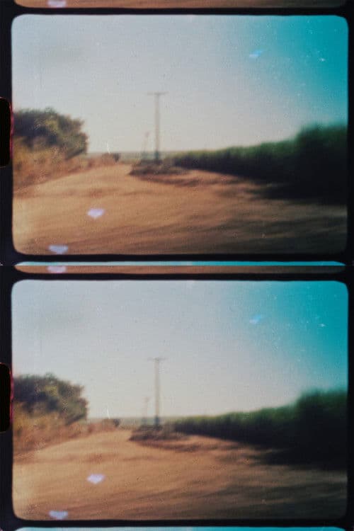 Estrada Para Santo Antônio da Alegria