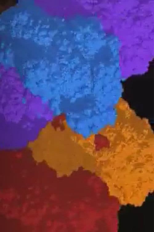 Sierpinski Blows His Gasket