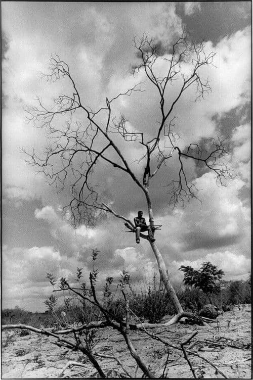 Le rêve de São Paulo