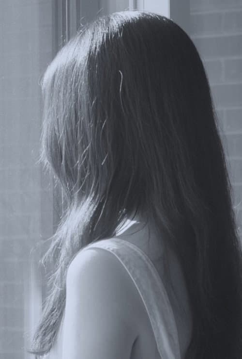 차가운 새들의 세계