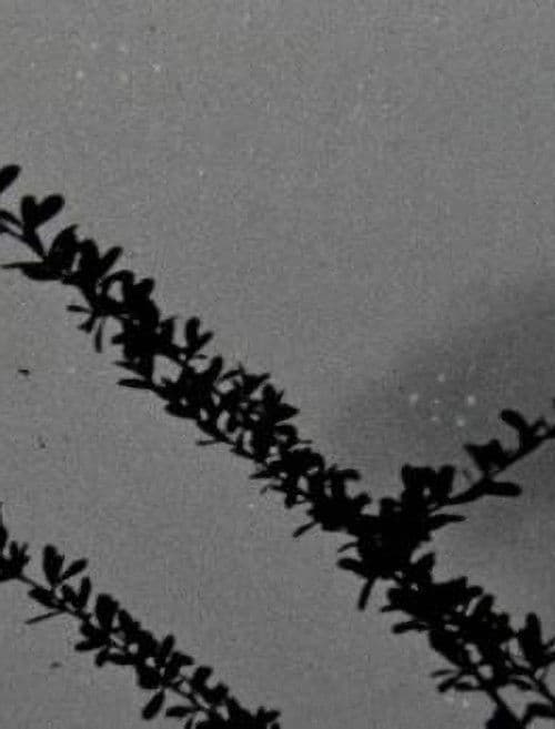 Les choses qui résistent à l'épreuve du temps