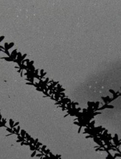 Les choses qui résistent à l'épreuve du temps