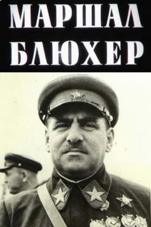 Маршал Блюхер: Портрет на фоне эпохи