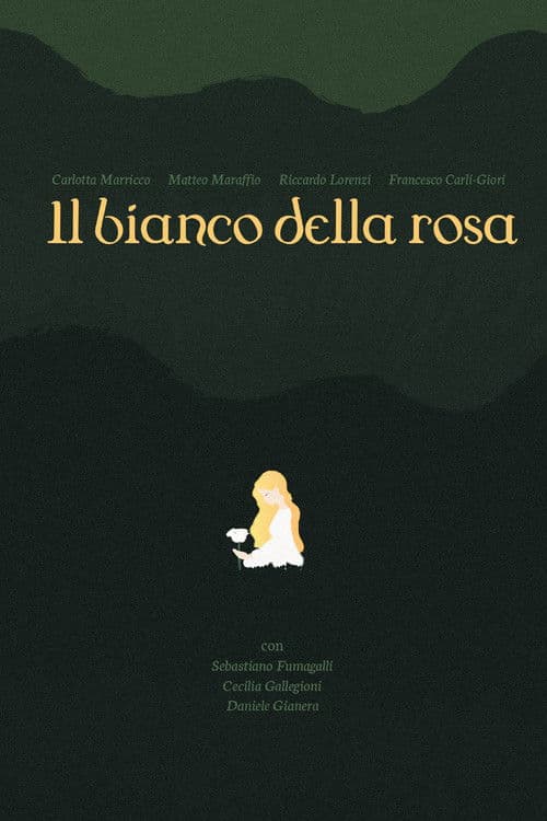il bianco della rosa