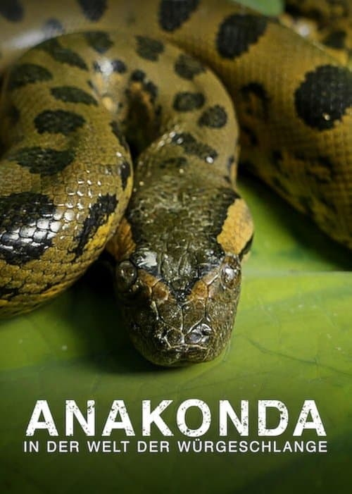 Anaconda: Ucigașul silențios