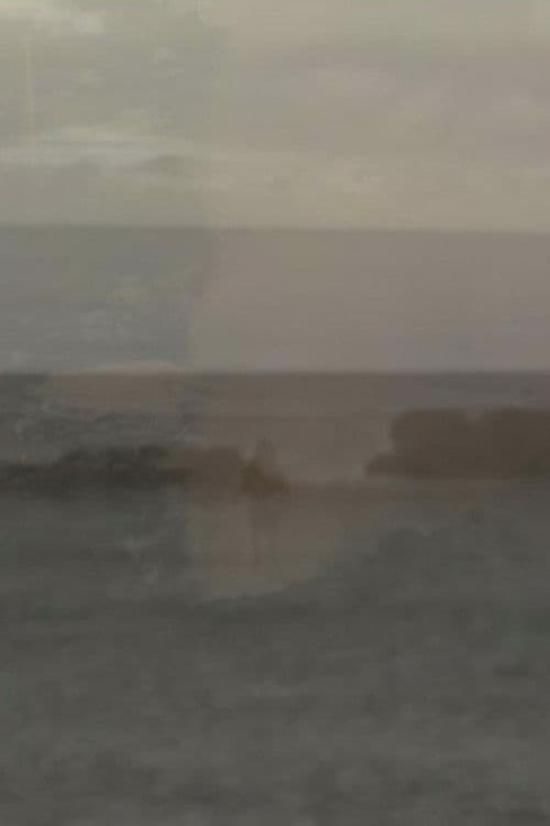 Contemplate the Plate Tectonic