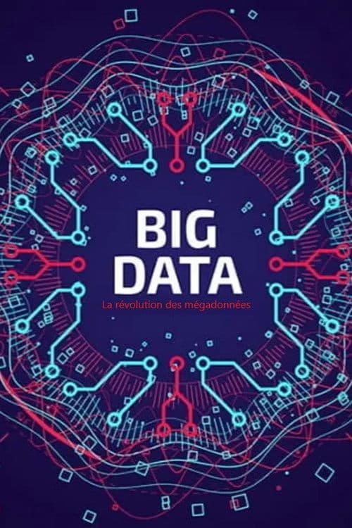 Big Data - La révolution des mégadonnées