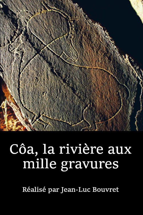 Côa, La Rivière Aux Mille Gravures