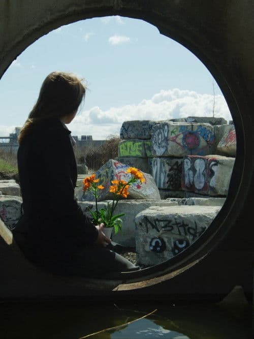 Nous préférons fleurir