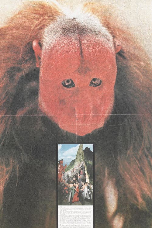 Gli atti fondamentali. Cerimonia