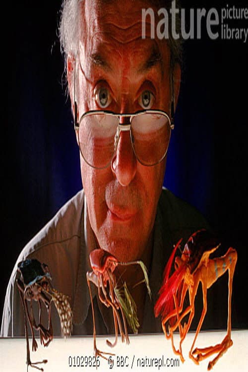 Natural History of an Alien