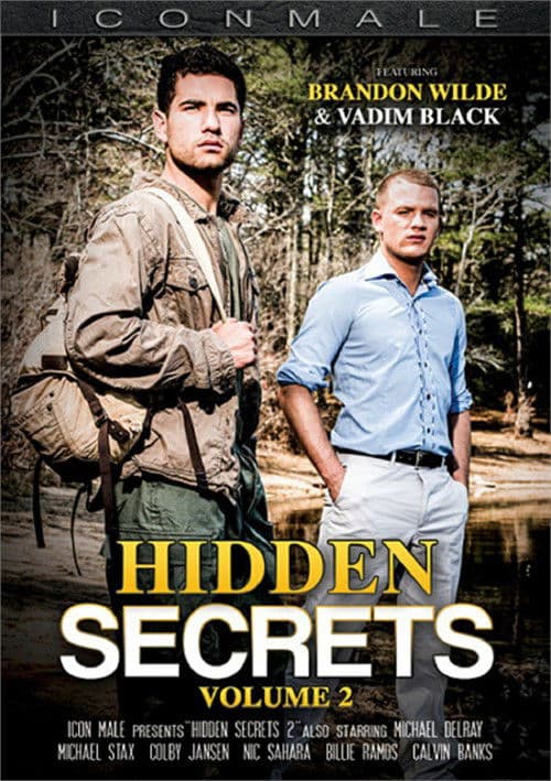 Hidden Secrets 2