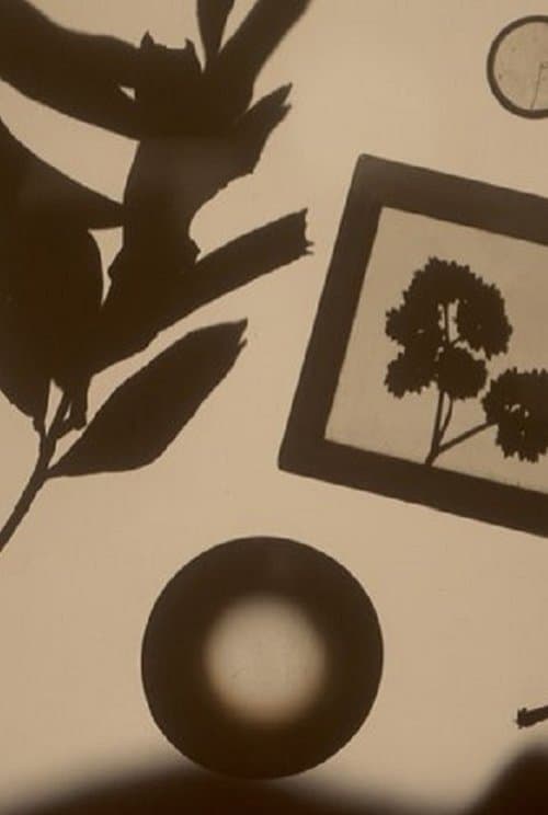 여기, 당신을 위한 식물 표본집