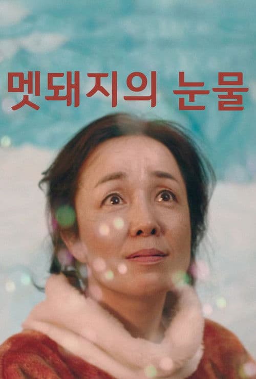 멧돼지의 눈물