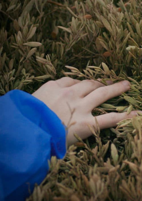 Without Bounds to Beat