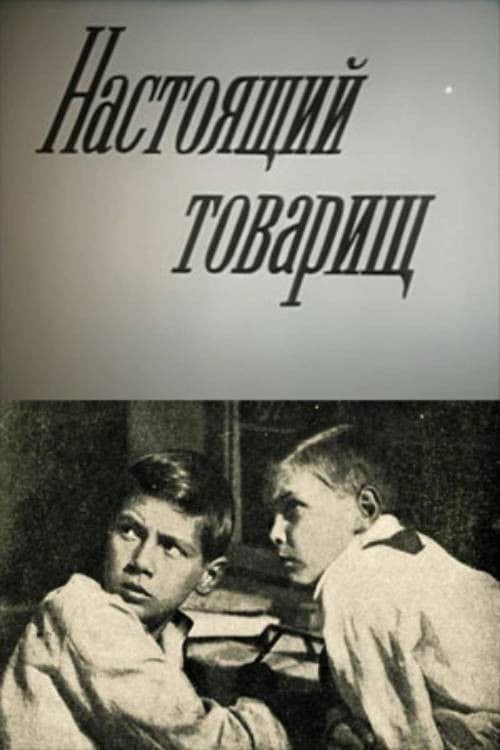 Настоящий товарищ