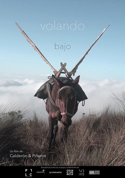 Volando Bajo