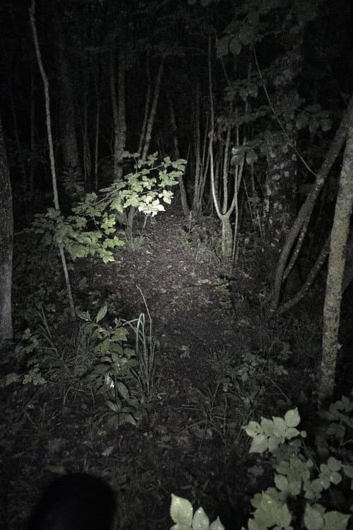 Untitled Found Footage Project