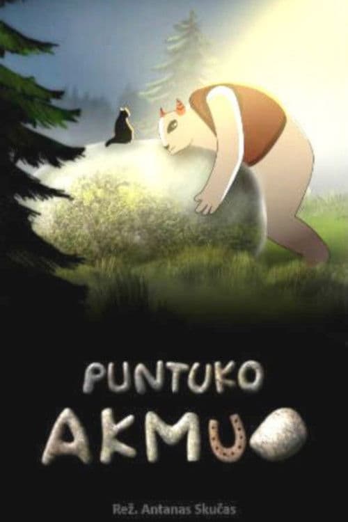 Puntuko akmuo