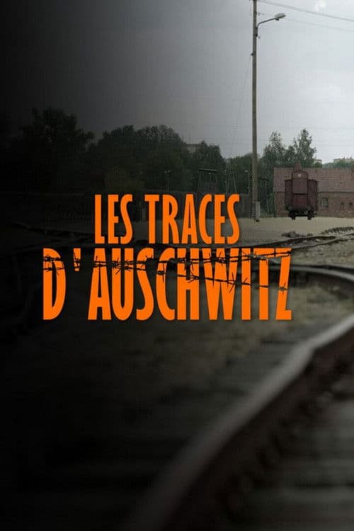 Les Traces D'Auschwitz (2021)