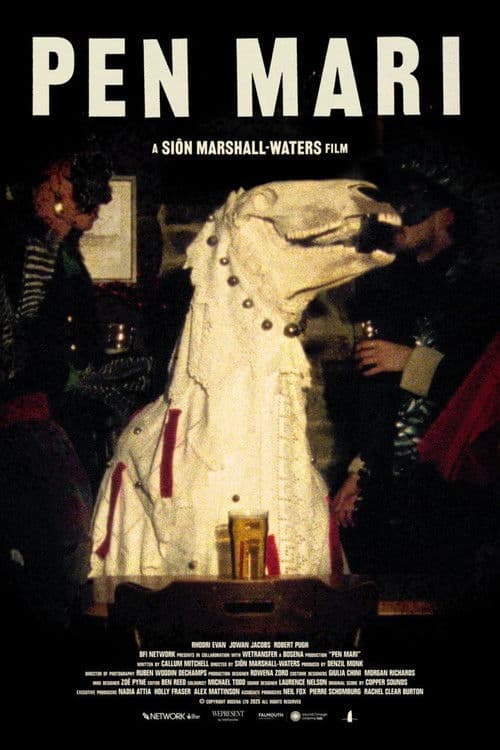 Pen Mari