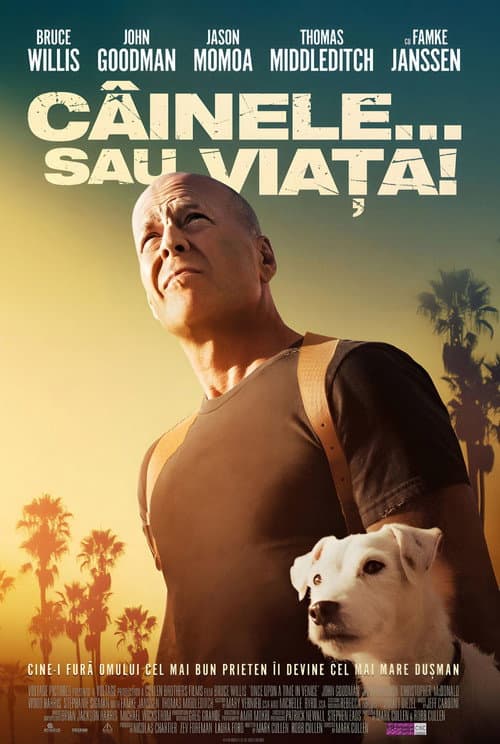 Câinele... sau viața