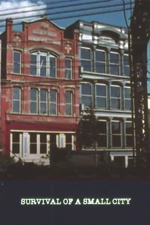 Survival of a Small City