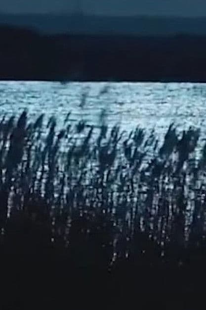 -Pursuit.Strati.Illustri.: Musica dagli Ultimi Giochi & Vocali Errate