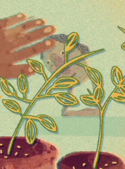 Pequeñas Historias Sobre la Soledad