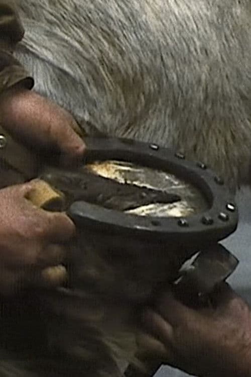 Le maréchal-ferrant