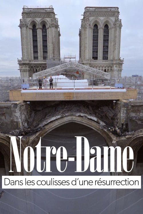 Notre-Dame, dans les coulisses d’une résurrection