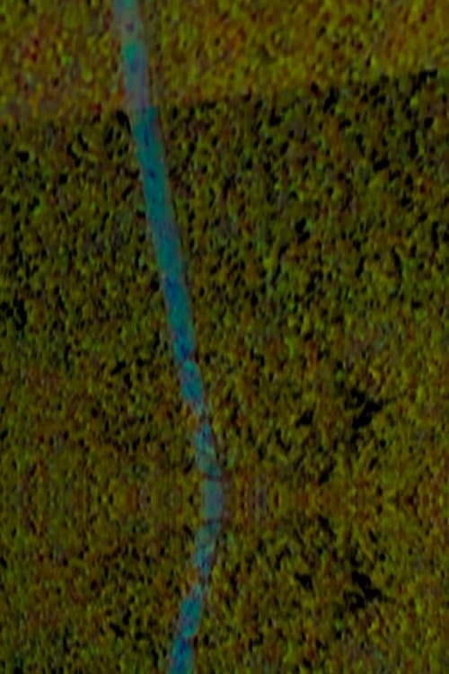 por que os bagui de segurar no onibus sao amarelo?