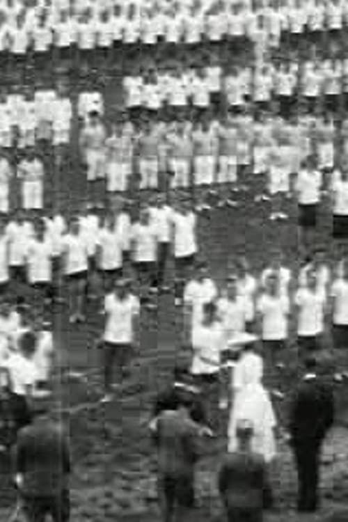 Legersport demonstratie